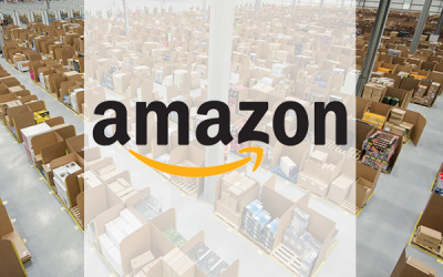 Amazon Project