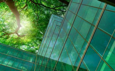 Sustainable Construction: Green Building Trends and Innovations Transforming the Industry